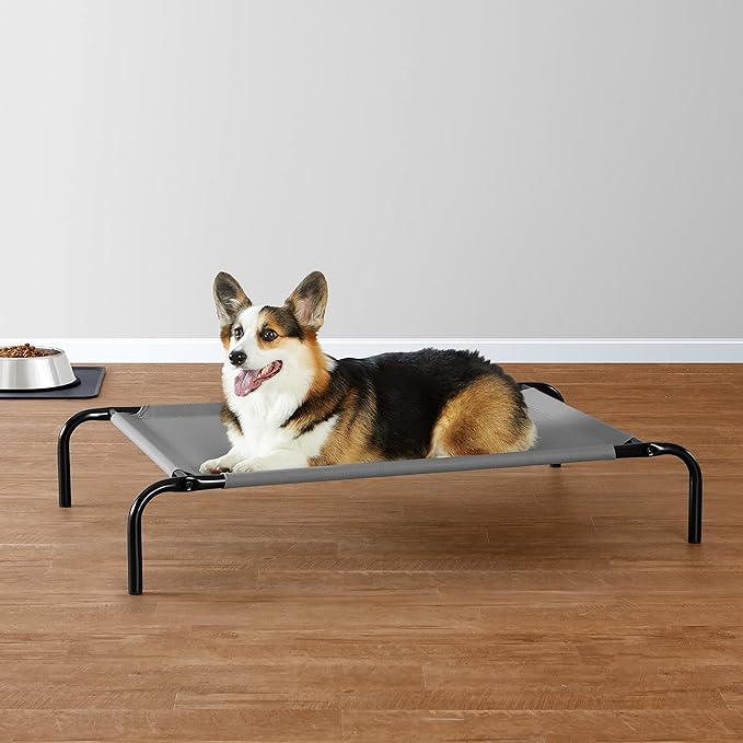 Elevated Dog Bed with Metal Frame Royal Pets Carts