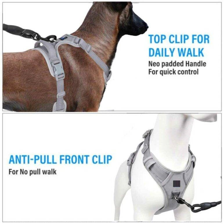 3M Reflective No Pull Dog Harness | Gray