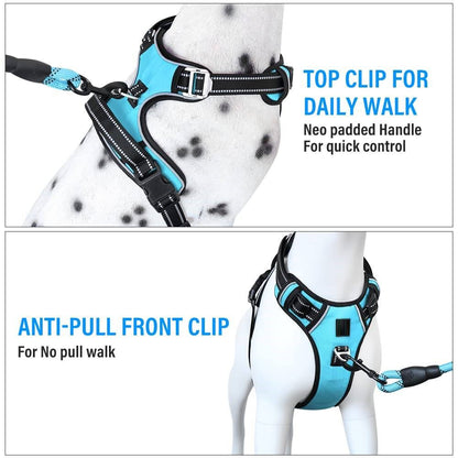 3M Reflective No Pull Dog Harness | Cyan Blue