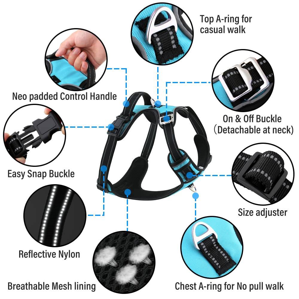 3M Reflective No Pull Dog Harness | Cyan Blue