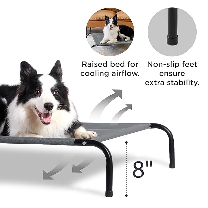 Elevated Dog Bed with Metal Frame