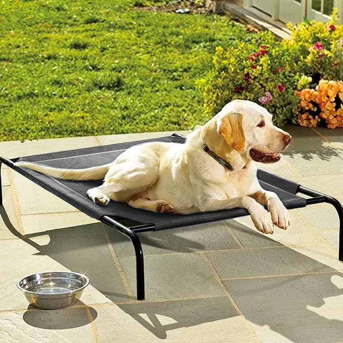 Elevated Dog Bed with Metal Frame