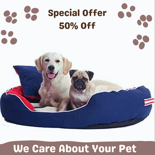 Super Soft Bed for Dog, Anti-Skid Bottom & Machine Washable