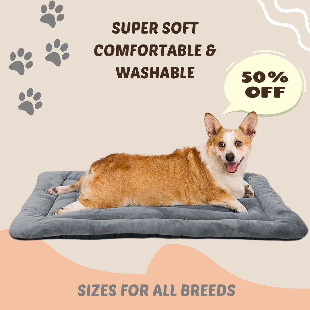 Dog & Cat Matt Bed Anti-Skid Bottom & Machine Washable (Reversible)