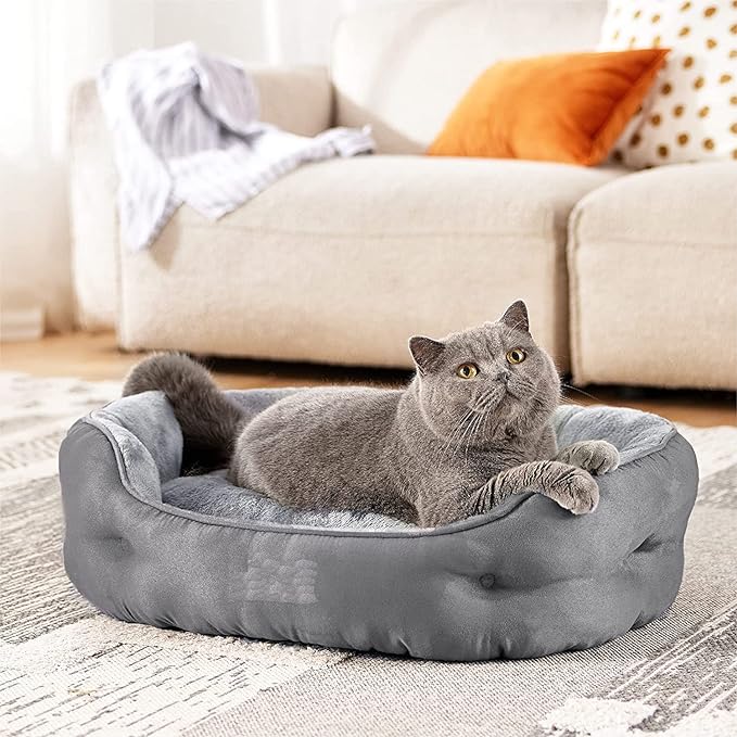 Polyester Oval Pet Bed For Cat & Small Breed Puppies - Machine Washable & Reversible